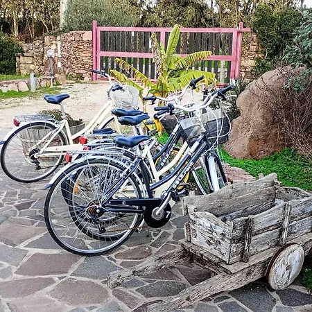 Alghero - Grotte Di Nettuno Cortes Apartman