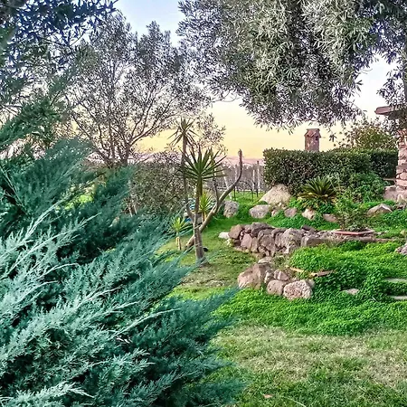 Alghero - Grotte Di Nettuno Cortes