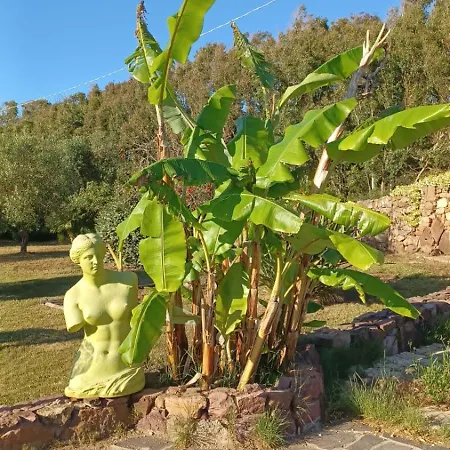 Alghero - Grotte Di Nettuno Cortes Apartman Santa Maria la Palma