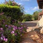 דירה Alghero - Grotte Di Nettuno Cortes