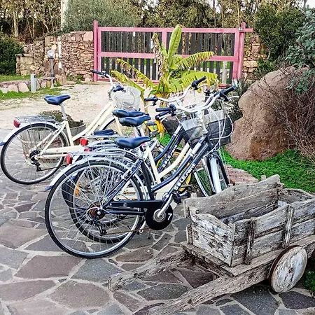 Alghero - Grotte Di Nettuno Cortes Apartman