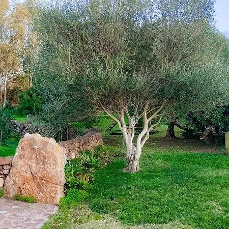 Lejlighed Alghero - Grotte Di Nettuno Cortes Santa Maria la Palma