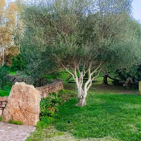 Apartment Alghero - Grotte Di Nettuno Cortes Santa Maria la Palma
